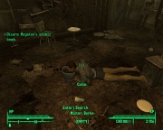 A jaké jsou Vaše pocity z Falloutu 3?